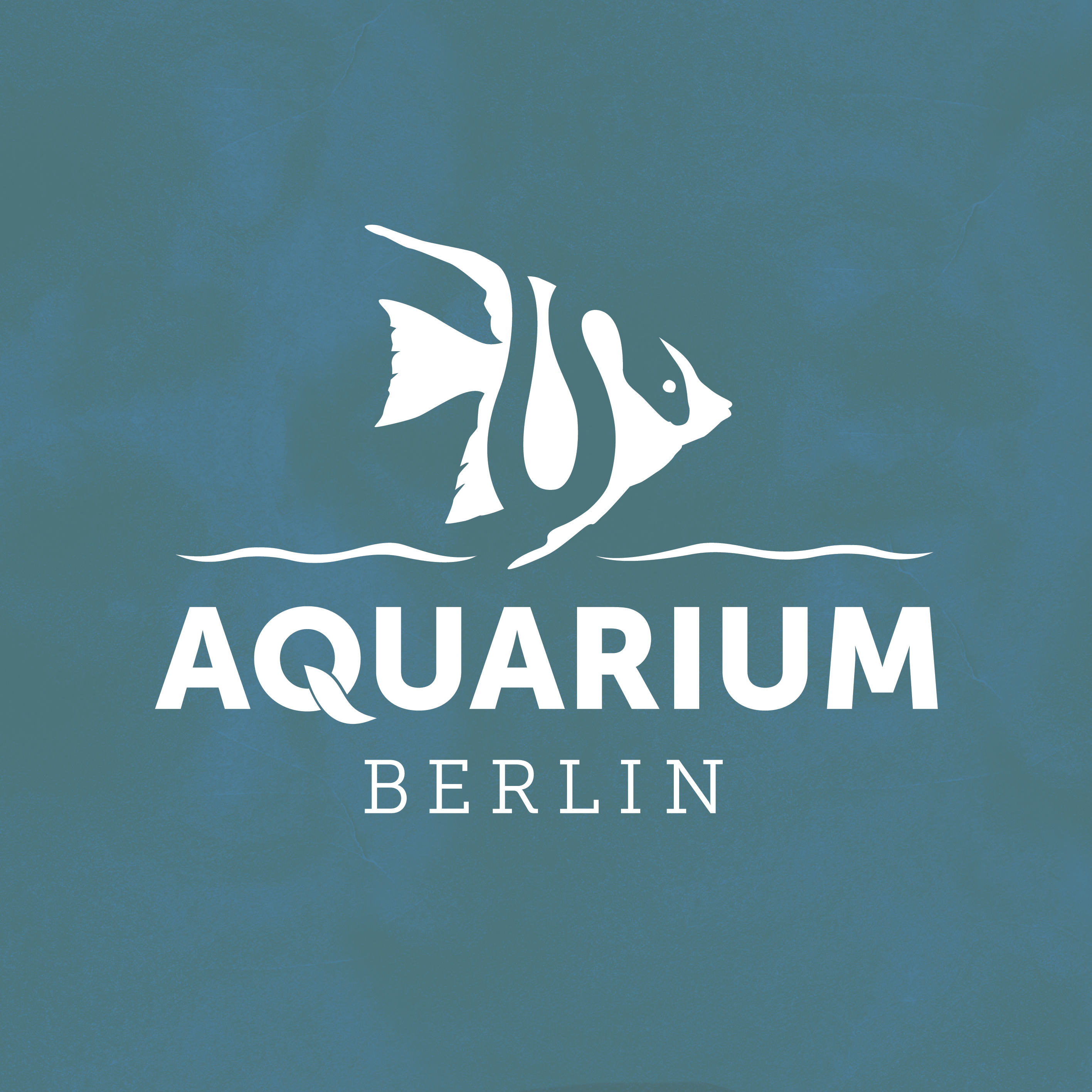 Führungen im Aquarium