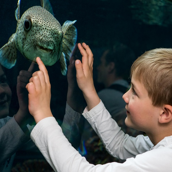 Kindergeburtstage