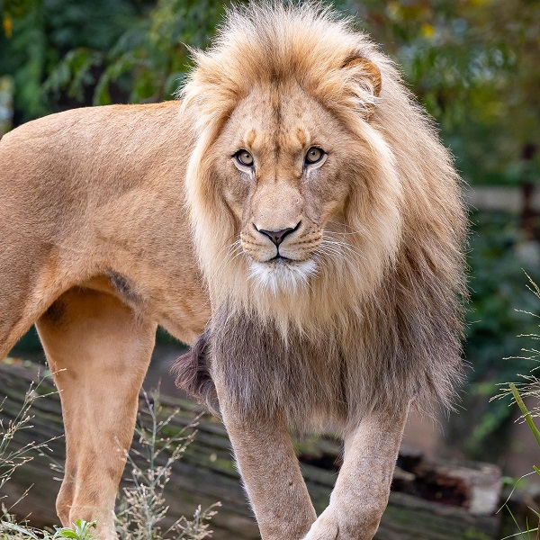 Familienf hrung Zoo Aquarium Berlin